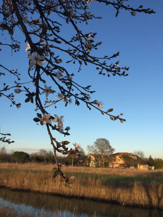 Agriturismo Valle Ca' Del Lovo Carlino Bagian luar foto